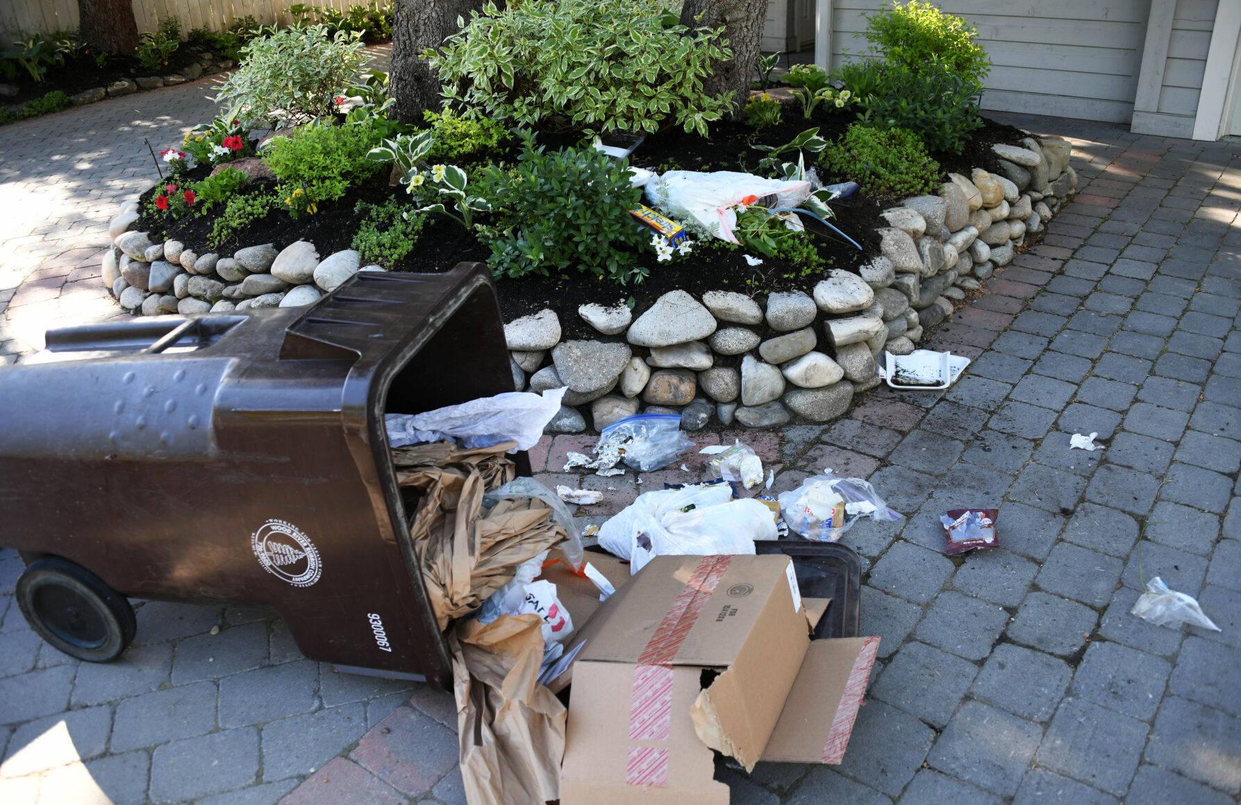 Trash Spilled By Black Bear